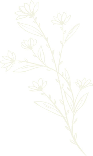 Cream-colored line art of a delicate flowering branch with multiple small blossoms and leaves on a black background.